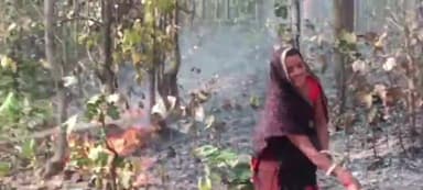 बगोदर: कारीमाटी जंगल में लगी आग, घंटों की मशक्कत के बाद आग पर पाया गया काबू