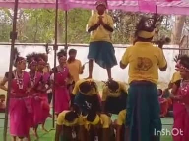 नरहरपुर: ग्राम डूमरपानी में बड़ी धूमधाम से मनाया गया 'चैतराई पर्व'