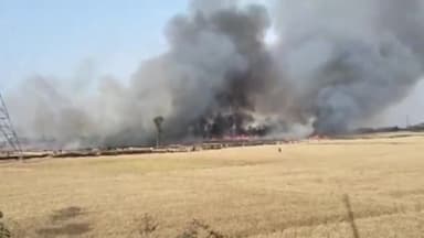 धनघटा: अलीनगर नीबिहवा पोखरा के समीप अज्ञात कारणों से गेहूं की खड़ी फसल में लगी आग, करीब 8 बीघे की फसल जलकर हुई राख