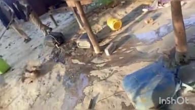 मोहिउद्दीननगर: कचहरी गाछी में पुलिस ने अवैध शराब निर्माण के खिलाफ चलाया सर्च अभियान