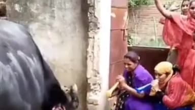 राघोगढ़: जिले की आशा आशा कार्यकर्ताओ की मांगों को लेकर नगर पालिका कार्यालय के पास हड़ताल जारी, भैंस के आगे बीन बजा कर जताया विरोध