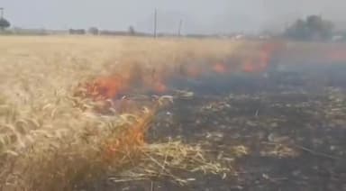इटवा: ज़िले के अलग-अलग स्थानों पर आग लगने से 190 बीघे गेहूं की फसल जलकर हुई राख