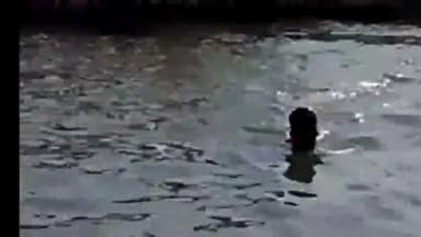 शिवाला घाट गंगा नदी में बिहार चंपारण निवासी युवक की डूबने से हुई मौत