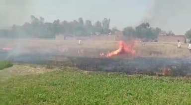 महसी: सरपतहा में अज्ञात कारणों से गेहूं की फसल में लगी आग, 50 बीघा से अधिक फसल जलकर हुई राख