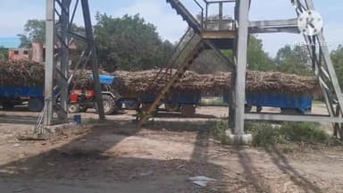 सोनीपत: सोनीपत शूगरमिल प्रशासन ने फील्ड सर्वे किया पूरा, क्षेत्र में अभी करीब 5लाख क्विंटल गन्ना शेष