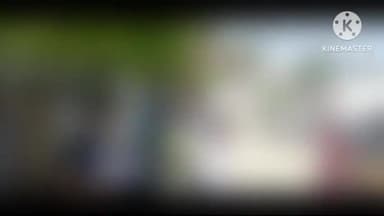 बुलंदशहर: कोतवाली नगर क्षेत्र निवासी एक विवाहिता ने एसएसपी कार्यालय पहुंचकर देवर पर दुष्कर्म की कोशिश करने का लगाया आरोप