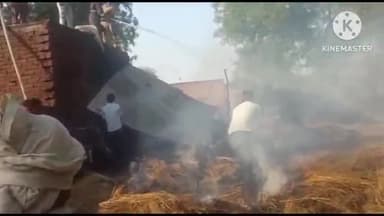 सैफई: ग्राम नगला पंमी में अज्ञात कारणों से लगी आग से चार घर जलकर हुए राख, दो जानवर भी जलकर हुए घायल