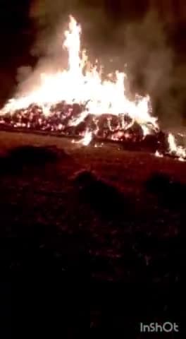 सादाबाद: मिढ़ावली में 15 बीघा गेहूं की लाख में लगी आग, मचा हड़कंप