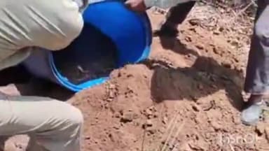 जमुई: उत्पाद विभाग की टीम ने तारा टांड़ गांव में छापेमारी कर 6000 किलो जावा महुआ और 60 लीटर चुलाई शराब की नष्ट