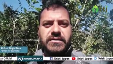 अन्न variety के Apple को कीट से बचाने की तकनीक जानें इस वीडियो में
#applefarming #farming #agricultue