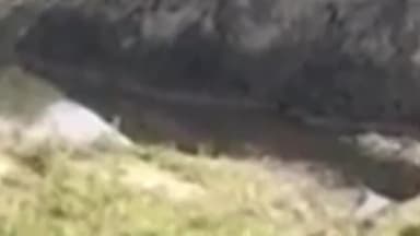 शामली: जलालाबाद-लुहारी मार्ग पर कृष्णा नदी में हुआ तेज धमाका, मामले की जांच में जुटी थानाभवन पुलिस