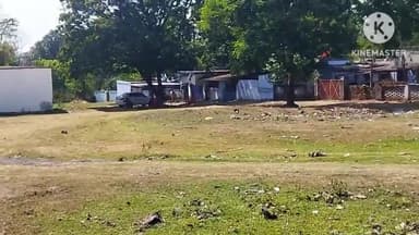 पतरातू: भुरकुंडा के रिवर साइड क्षेत्र में एक युवक ने फांसी लगाकर की आत्महत्या