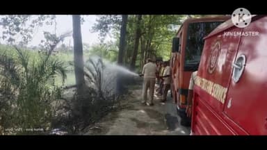 महुआ: महुआ अनुमंडल के सलहा पावर ग्रिड के समीप अज्ञात व्यक्ति द्वारा बीड़ी सिगरेट पीकर फेंके जाने से जंगल में लगी भीषण आग