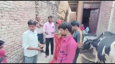 कामां: कामां से अज्ञात स्कॉर्पियो में सवार चोर गोवंश को ले गए लादकर वीडियो वायरल