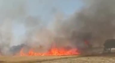 धौलाना: गांव बड़ौदा हिन्दुआन में हाईटेंशन लाइन का जर्जर तार टूटकर गिरने से किसान गेंहू की फसल में लगी भयंकर आग ।