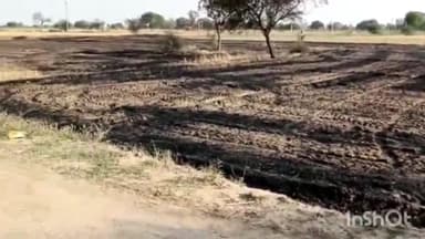 हमीरपुर: पचखुरा गांव में गेहूं के डंठलों में अज्ञात कारणों से आग लग जाने से सूचना पर पहुंची फायर ब्रिगेड ने आग पर पाया काबू