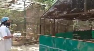 कानपुर चिड़ियाघर में आरिफ को देखकर 'बेचैन' हुआ सारस