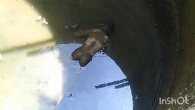 अंबिकापुर: ग्राम पंचायत कुम्हरता निवासी शिव बरन की लाश कुएं में मिलने से क्षेत्र में फैली सनसन, जांच में जुटी दरिमा पुलिस