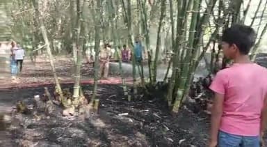 महुआ: मुकुंदपुर भाथ गांव में स्कूल के समीप अचानक लगी आग, सूचना पर पहुंची दमकल विभाग की टीम