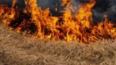 मांडू: बोंगवार बंधिया में मचान में आग लगने से हजारों रुपये का पुवाल और लकड़ी जलकर नष्ट