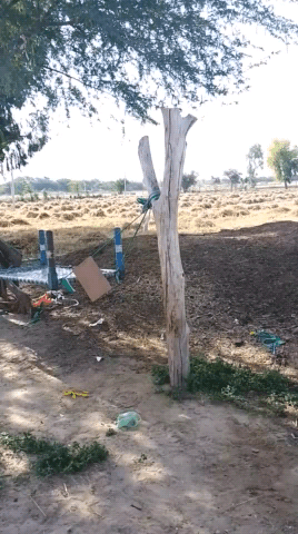 बीकानेर: jfjgfkydh@thd#gjd@yfi@yf#hbv@