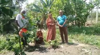 सोनभद्र बंशी सुर्यपुर: सोनभद्र में भाजपा के न्याय सप्ताह के तहत बंसी मंडल अध्यक्ष आमोद तिवारी जिला उपाध्यक्ष सविता कुमारी ने की वृक्षारोपण