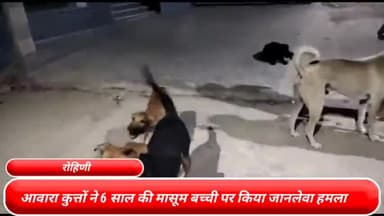 रोहिणी: रोहिणी सेक्टर 22 के पॉकेट 14 में आवारा कुत्तों ने 6 साल की मासूम बच्ची पर किया जानलेवा हमला