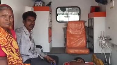 गोटेगांव: बिछुआ में गेहूं की फसल काटने गई महिला को जंगली सूअर ने हमला कर किया घायल, जिला अस्पताल में कराया गया भर्ती