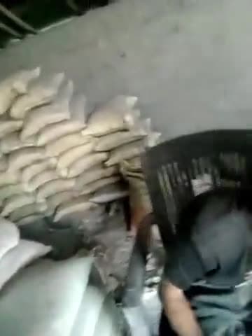 गाज़ियाबाद: कौशांबी थाना क्षेत्र स्थित भोवापुर में अवैध गांजा बेचते हुए एक युवक का वीडियो ट्विटर पर हुआ वायरल