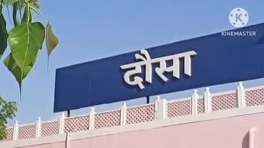 दौसा: शनिवार को भांकरी की पहाड़ी में लगी आग, ग्रामवासियों ने प्रशासन को किया सूचित