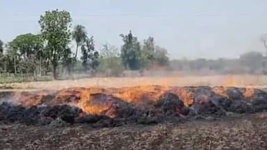 चित्तौड़गढ़: राईपुरिया गांव में खेत पर रखी गेंहू की फसल में लगी आग, जली फसल