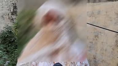 मुरादाबाद: गलशहीद थाना क्षेत्र के एक मोहल्ले की रहने वाली महिला ने कचहरी परिसर में रणधीर व 2अज्ञात लोगों पर लगाया मारपीट का आरोप