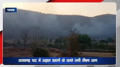 अजयगढ़: अजयगढ़ घाटी में अज्ञात कारणों के चलते लगी भीषण आग, वन विभाग की टीम मौके पर पहुंची
