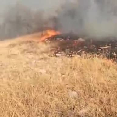 चित्तौड़गढ़: घटियावली की पहाड़ी पर लगी आग ने लिया विकराल रूप, कई पेड आग की चपेट आए