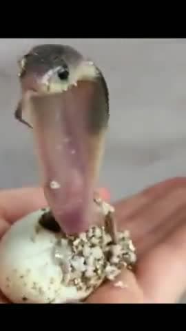 Instagram 🆔 Author Shakti Tiwari
#authorshaktitiwari  #author_shakti_tiwari
#Mumbai #Delhi	 #Bangalore	#Hyderabad #Ahme