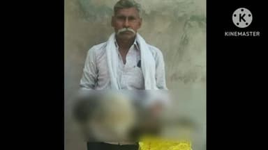 बसेड़ी: पिपरोंन गांव में कुत्तों के हमले से राष्ट्रीय पक्षी मोर की हुई मौत, ग्रामीणों ने वन विभाग को दी सूचना