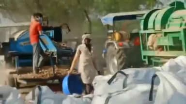 चित्तौड़गढ़: मुख्यालय पर पहले दिन 180 किसानों ने दिए डोड़े, मशीन में पिसाई कि, निमच भेजेंगे।