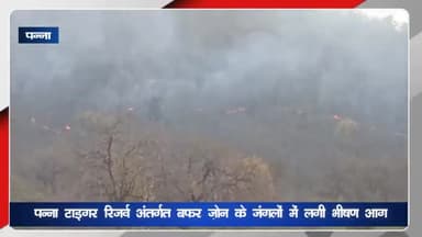 अजयगढ़: पन्ना टाइगर रिजर्व अंतर्गत बफर जोन के जंगलों में लगी भीषण आग धू-धू कर जल रहे जंगल वन विभाग का अमला आग बुझाने में जुटा।