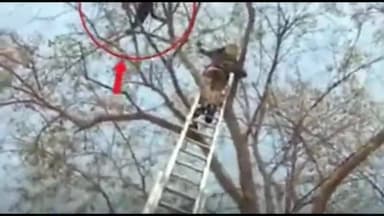 जांजगीर: युवक ने जिला अस्पताल के शिशु वार्ड के बाथरूम में जाकर खिड़की में फांसी  लगाने की कोशिश की