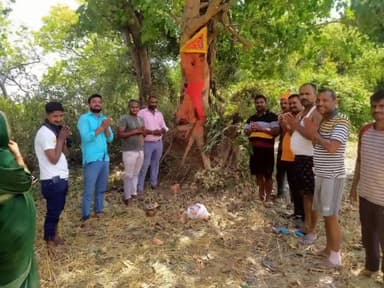 रायबरेली: चुरूवा गांव में पुराने पीपल के पेड़ में भगवान हनुमान की आकृति देखने के बाद लोगों में उमड़ा श्रद्धा का जनसैलाब