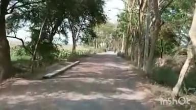 मोहिउद्दीननगर: भदैया गांव से टाडा गांव तक सड़क हुआ जजर्र ,आवागमन करने वाले लोगों को होती है परेशानी