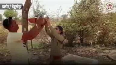 तेंदूखेड़ा: तेंदूखेड़ा थाने में पदस्थ एसआई सुरभि चौहान ने गर्मियों के मौसम आते ही पक्षियों को पानी की व्यवस्था के लिए लगाई सकोरे