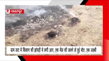 बड़ा मलेहरा: ग्राम जरा में झोपड़ी में आग लगने से एक भैंस की मौत, दूसरी भैंस हुई जख्मी