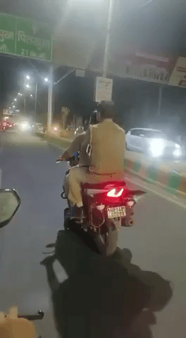 वर्दी पर तो हेलमेट ज़रूर पहनना चाहिये जिस से की और लोगों को भी देखकर प्रेरणा मिल सके 
हापुड़ की घटना (मुँह छिपा कर भागते हुए )