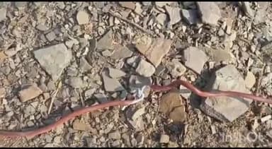 हटा: बोरीखुर्द इलाके में सीधे खंभे से बिजली लेकर लाडली बहना योजना के फाॅर्म भरने का कार्य है जारी, कभी भी हो सकता है हादसा