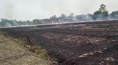 सवायजपुर: टिकार गांव में विद्युत लाइन से निकली चिंगारी से गेहूं के खेत में लगी आग, लगभग 9 बीघा फसल जलकर राख