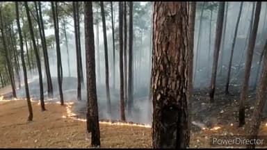 देहरादून: 17 व 18 अप्रैल को 40 आग की घटनाओं में 50 हेक्टेयर वन क्षेत्र जला, वन विभाग देहरादून ने दी जानकारी