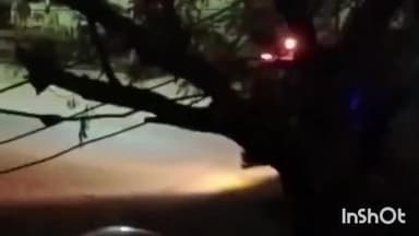 दौसा: दौसा बिजली विभाग के सहायक अभियंता कार्यालय के स्टोर में लगी आग के नुकसान  का आकलन में जुटा बिजली विभाग