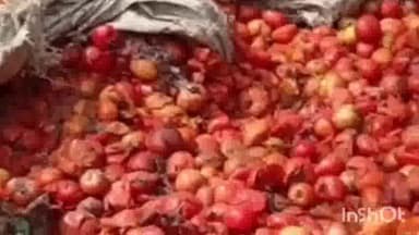 हसनपुर: टमाटर से लदी कैंटर गाड़ी हसनपुर के ब्लॉक तिराहे पर गोवंश पशुओं को बचाने के दौरान अनियंत्रित होकर पलटी, कई लोग हुए घायल