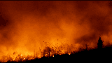 राजगीर के वैभरगीरी पर्वत पर लगी आग। 3 दिन से 5 डिपार्टमेंट के 500 कर्मचारी व 36 दमकल की गाड़ियाँ आग पर काबू पाने में जुड़े है ।


 #राजगीर #नालंदा #वैभरगीरी